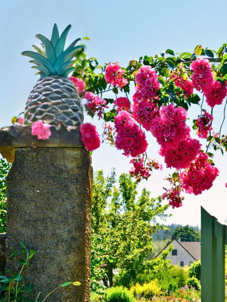 American Southern Hospitality Pineapple on Garden Gate