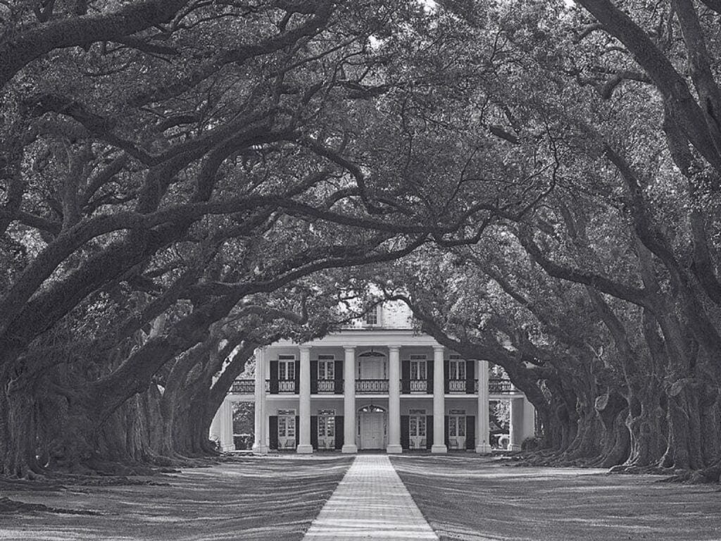 a southern plantation with a large tree lined walkway
