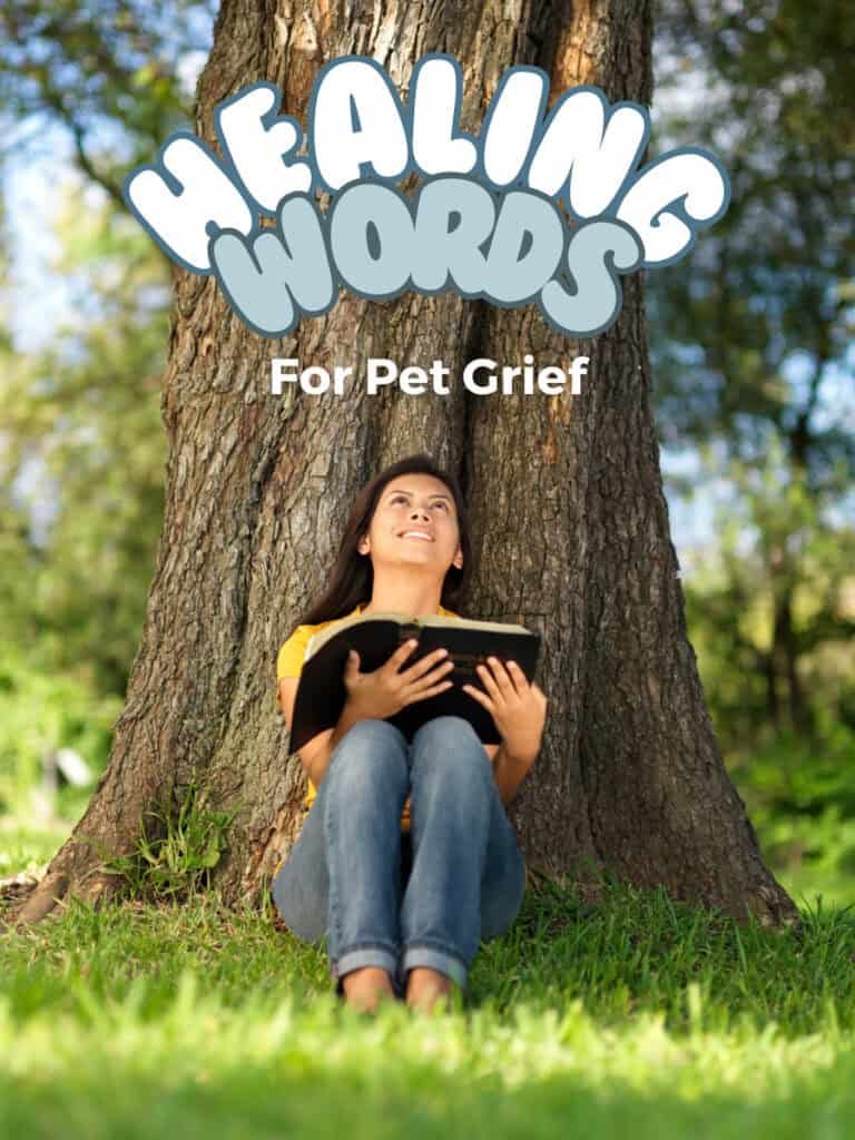a woman sitting under a tree reading a book saying a prayer for pet loss